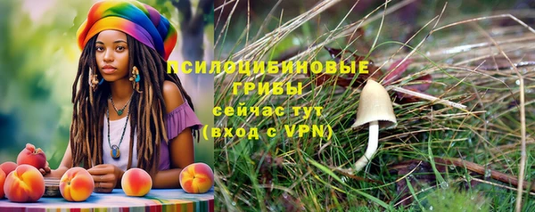 шишки Абдулино