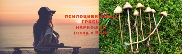 мяу мяу мука Беслан