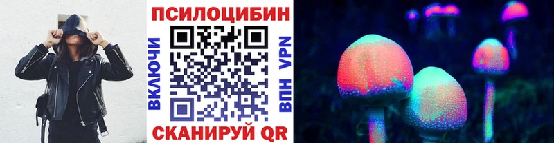 Псилоцибиновые грибы Psilocybe  Пудож 